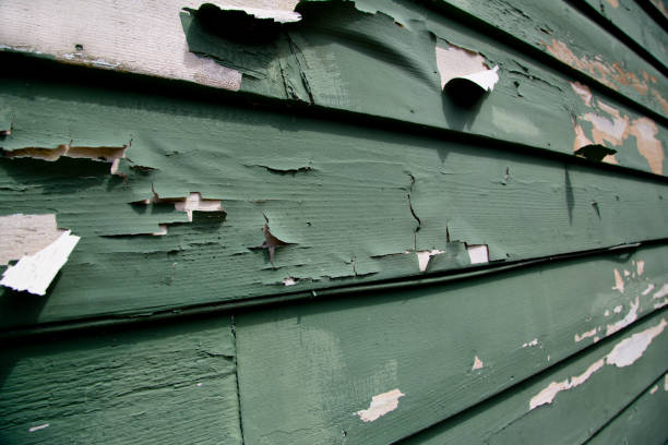 Best Historical Building Siding Restoration  in Metzger, OR